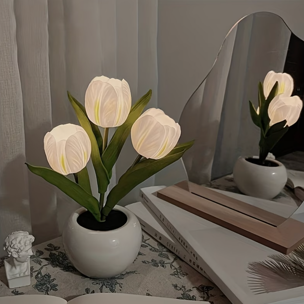 Tulipa