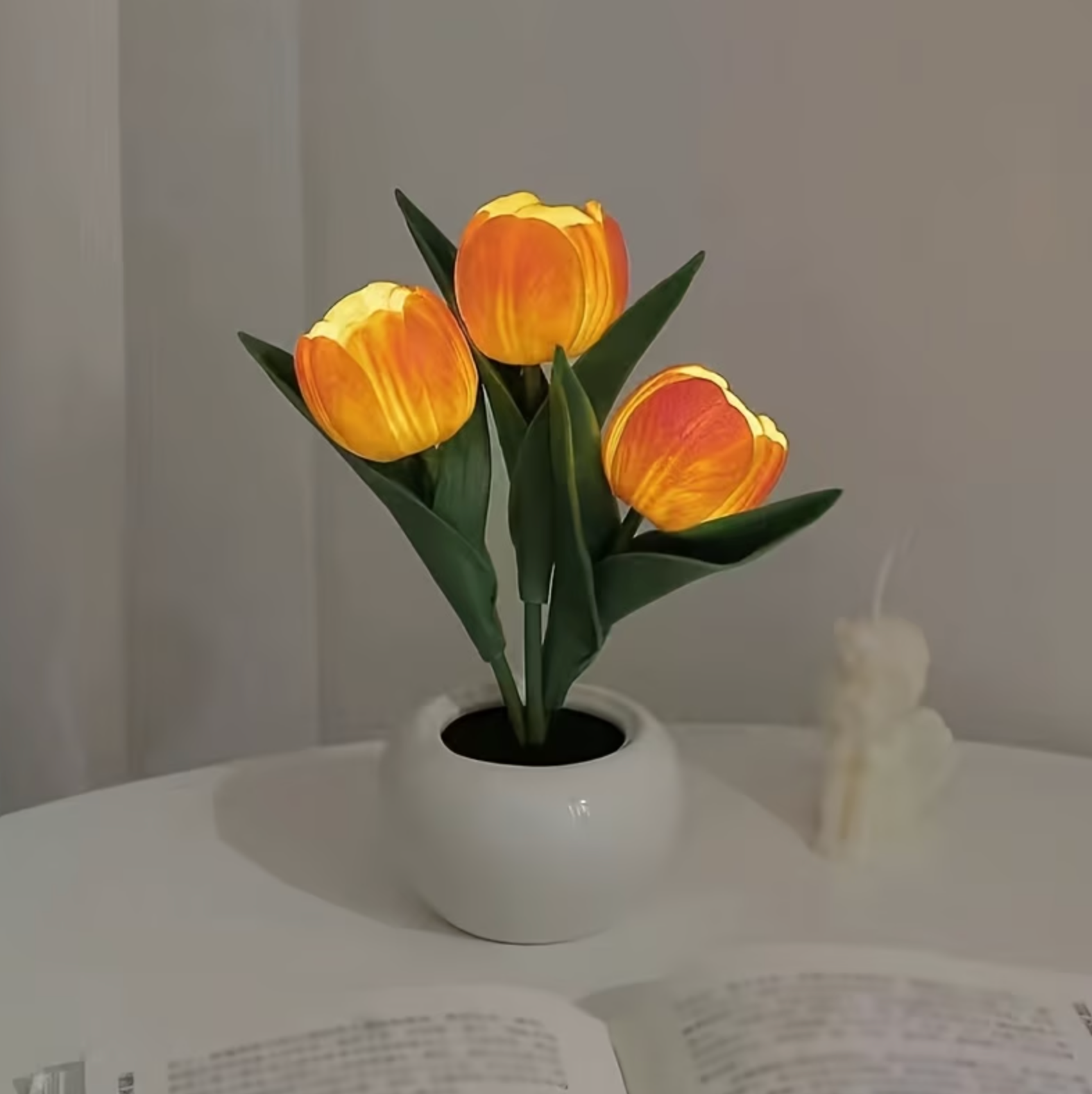 Tulipa