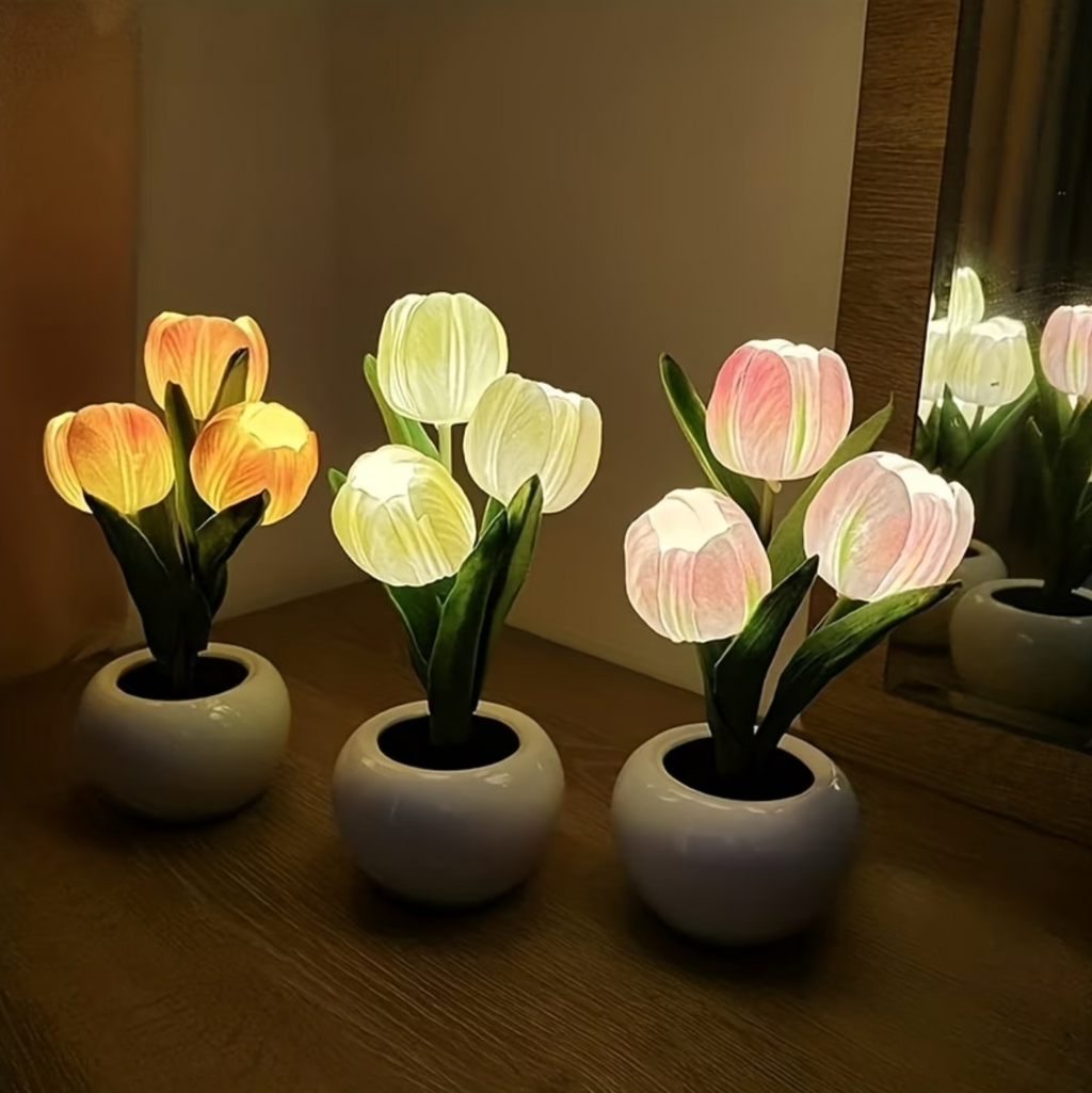 Tulipa